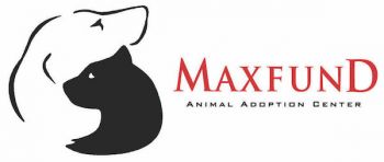 Maxfund cats hot sale