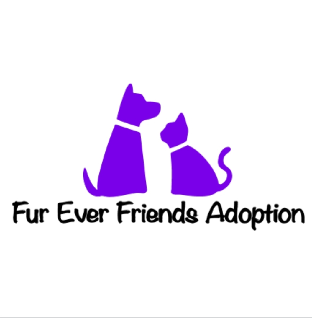 Fur Ever Friends Adoption