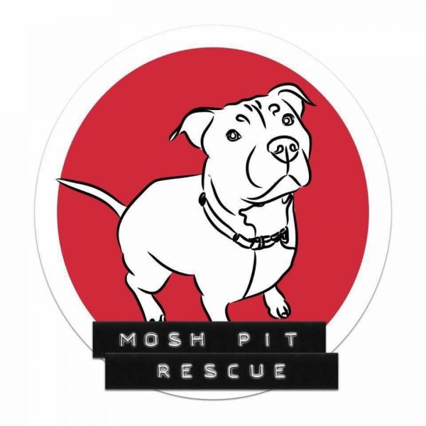 Mosh Pit Rescue