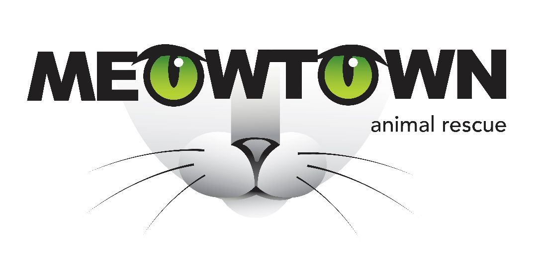 MEOWTOWN Animal Rescue