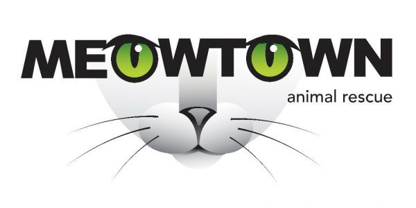 MEOWTOWN Animal Rescue