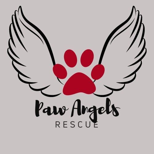 Paw Angel's Inc