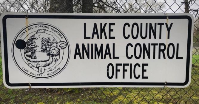 Lake County Animal Control