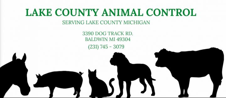 Download Pets For Adoption At Lake County Animal Control In Baldwin Mi Petfinder