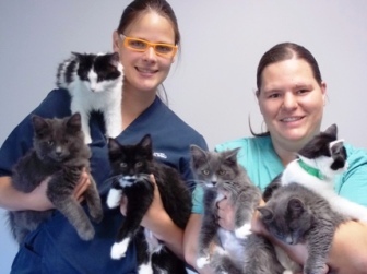 Wetaskiwin Animal Shelter