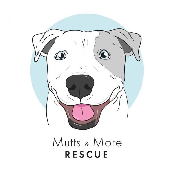 Mutts and More Inc