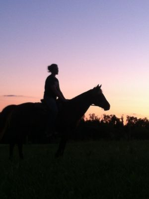 Bella Run Equine