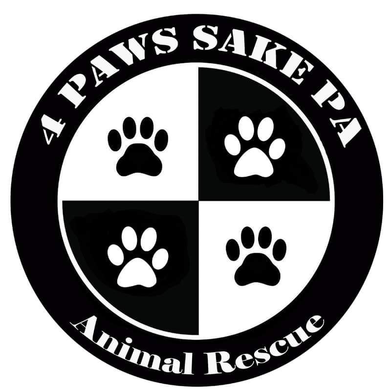 4 paws animal store rescue