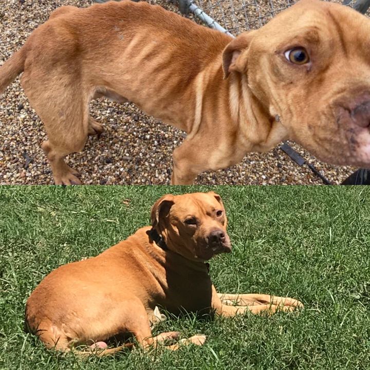 Jethro - before and after