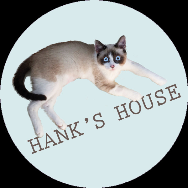 Hank's House