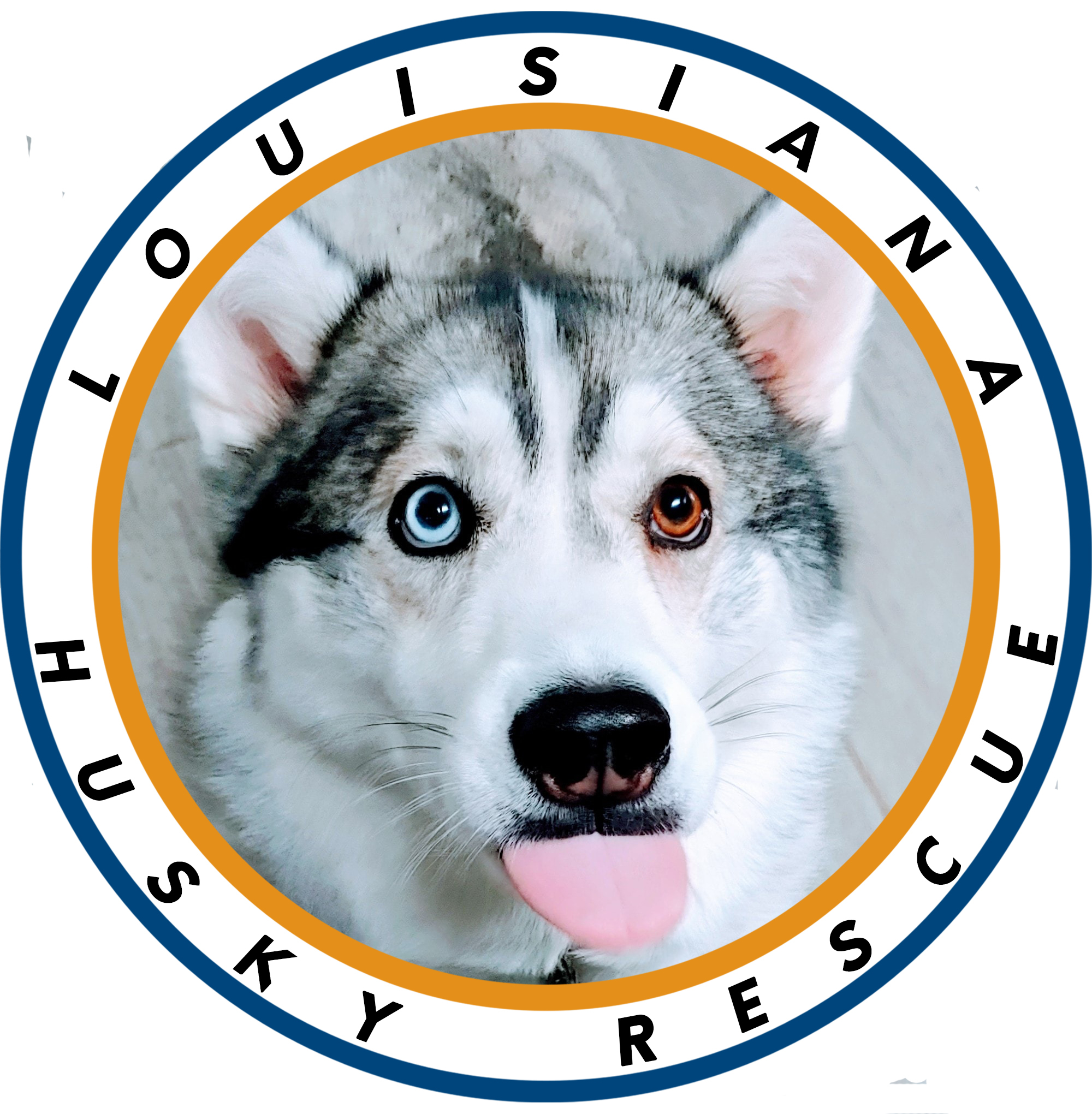 Pets for Adoption at Louisiana Husky Rescue Inc., in ...