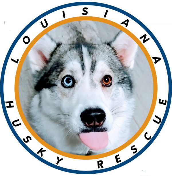 Louisiana Husky Rescue Inc.