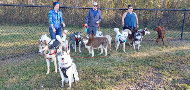 Louisiana Husky Rescue Inc.