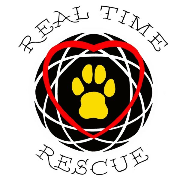 Real Time Rescue