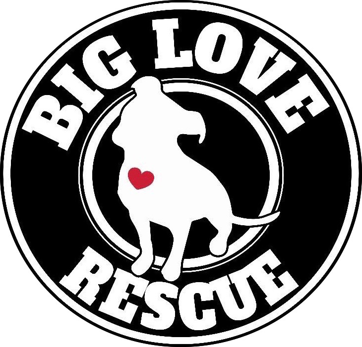 Big Love Rescue