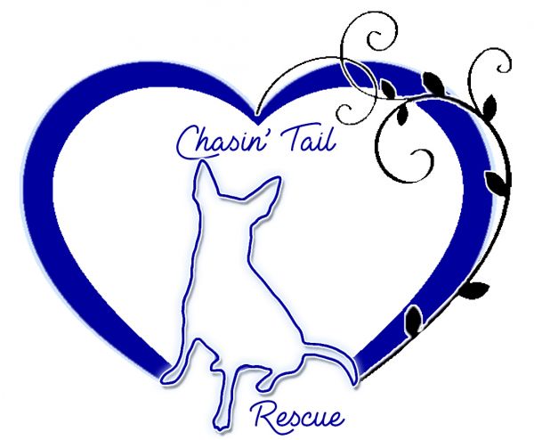 Chasin' Tail Rescue Inc.