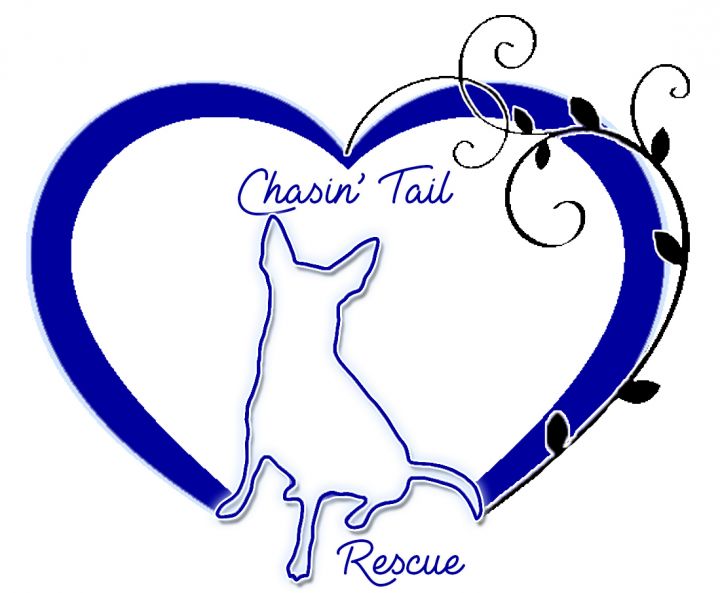 Chasin Tail Rescue Inc