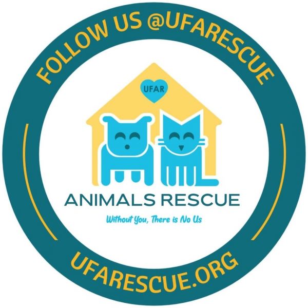 United for Animals rescue