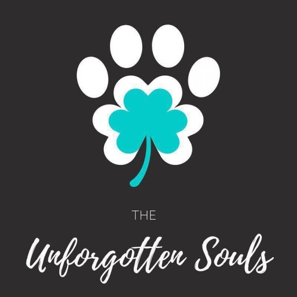 The Unforgotten Souls