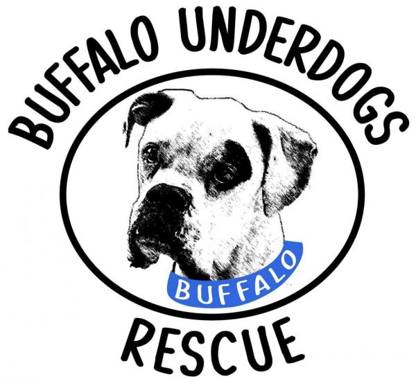 Buffalo Underdogs Rescue