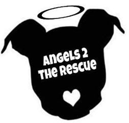 Angels 2 The Rescue