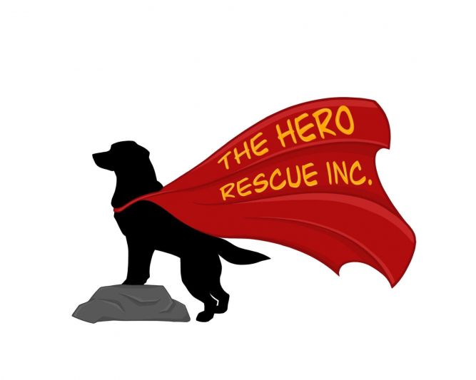 The Hero Rescue, Incorporated