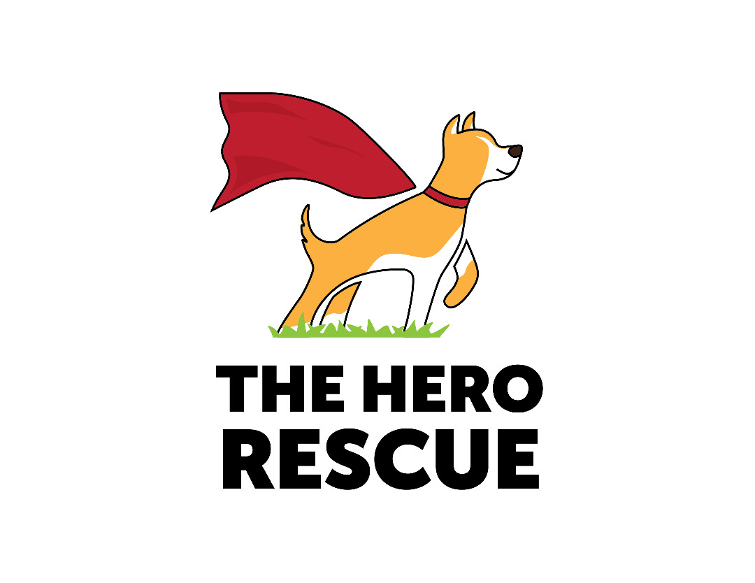 Do Your Pets Love our Healthcare Heroes? - Collingswood Rehabilitation and  Healthcare Center