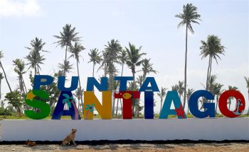 Our dogs come from Punta Santiago, Puerto Rico.