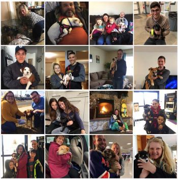 We celebrated 150+ adoptions in 2019!