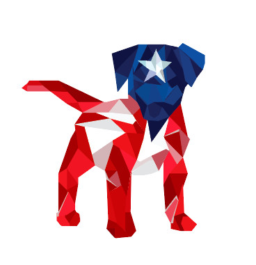 A 'sato' and the Puerto Rican flag