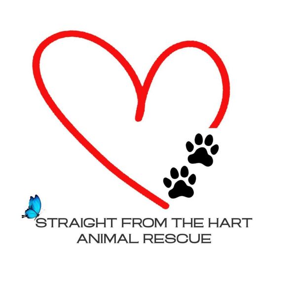 Straight from the "Hart" Animal Rescue