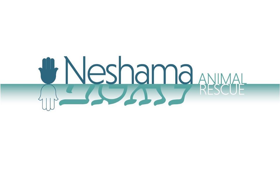 Neshama Animal Rescue