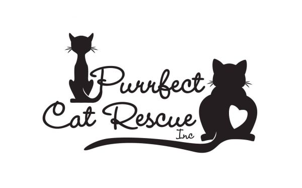 Purrfect Cat Rescue