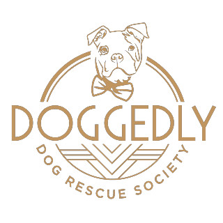 Doggedly Dog Rescue Society