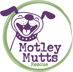 Motley Mutts Rescue