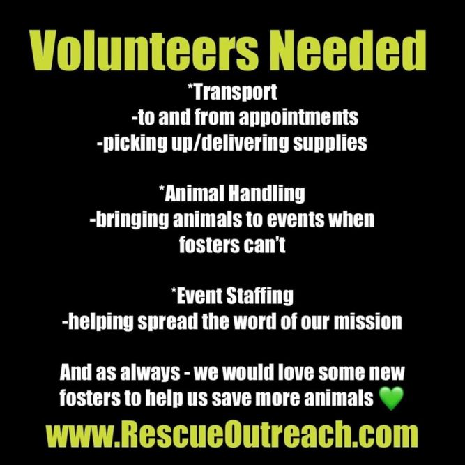 Rescue Outreach