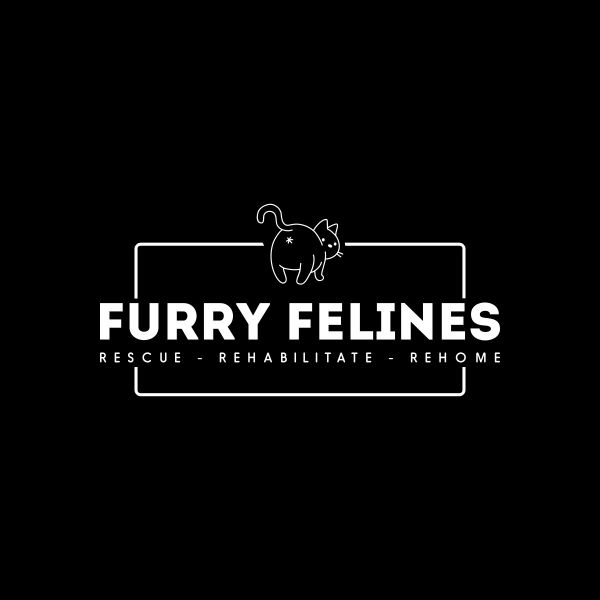 Furry Felines