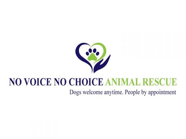 No Voice No Choice Animal Rescue, Inc.