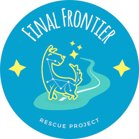 Final Frontier Rescue Project