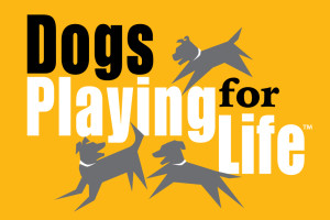 Dogs Playing For Life