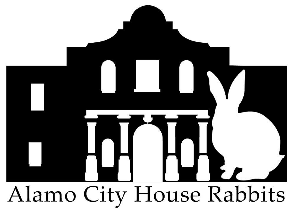 Pets for Adoption at Alamo City House Rabbits, in San Antonio, TX