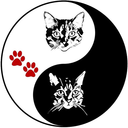Dutchie and Renee Senior Cat Rescue Foundation