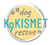 K9 Kismet Dog Rescue