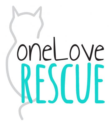 Pets for Adoption at One Love Rescue, in Houghton Lake, MI | Petfinder