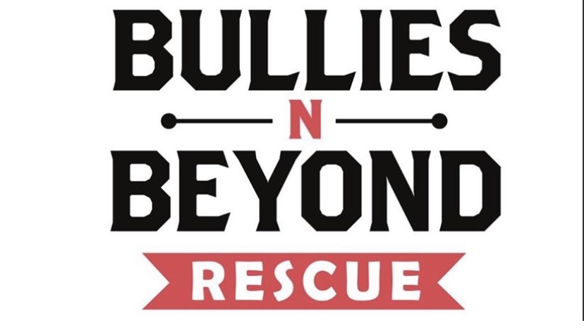 BulliesnBeyond Rescue