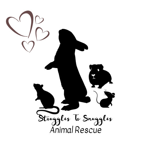 Struggles To Snuggles Animal Rescue Inc