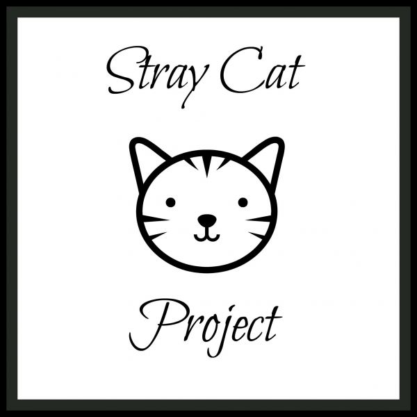 Stray Cat Project