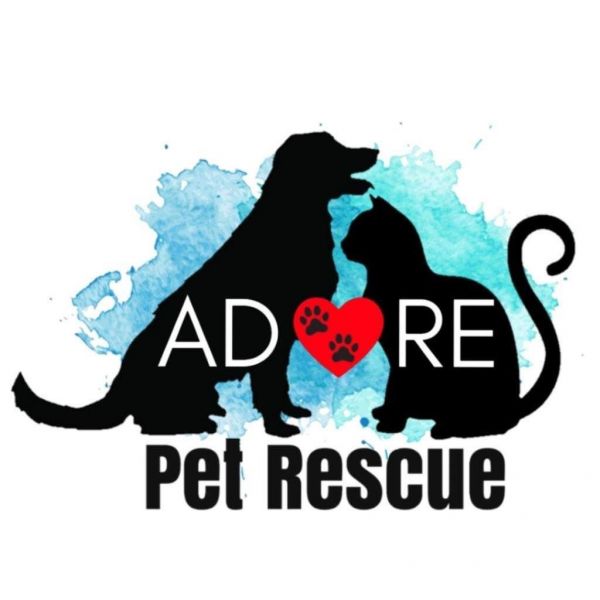 Animals Deserving of Rescue Everywhere, Inc.