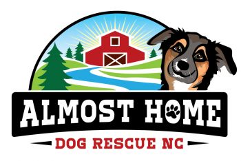 Almost home animal shelter clearance hours