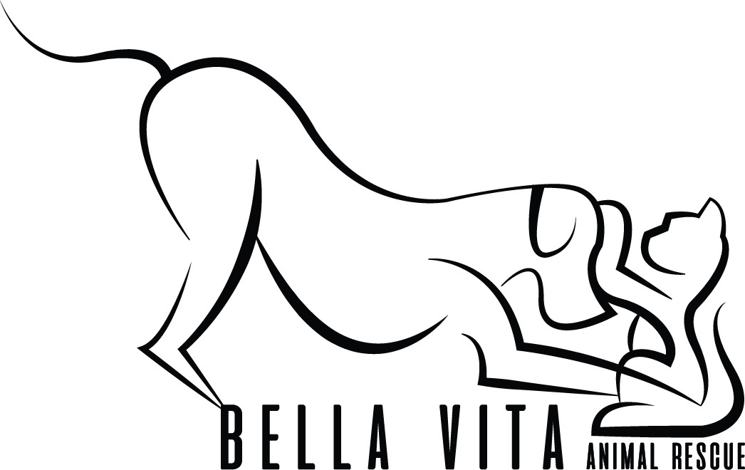 Bella Vita Animal Rescue Inc